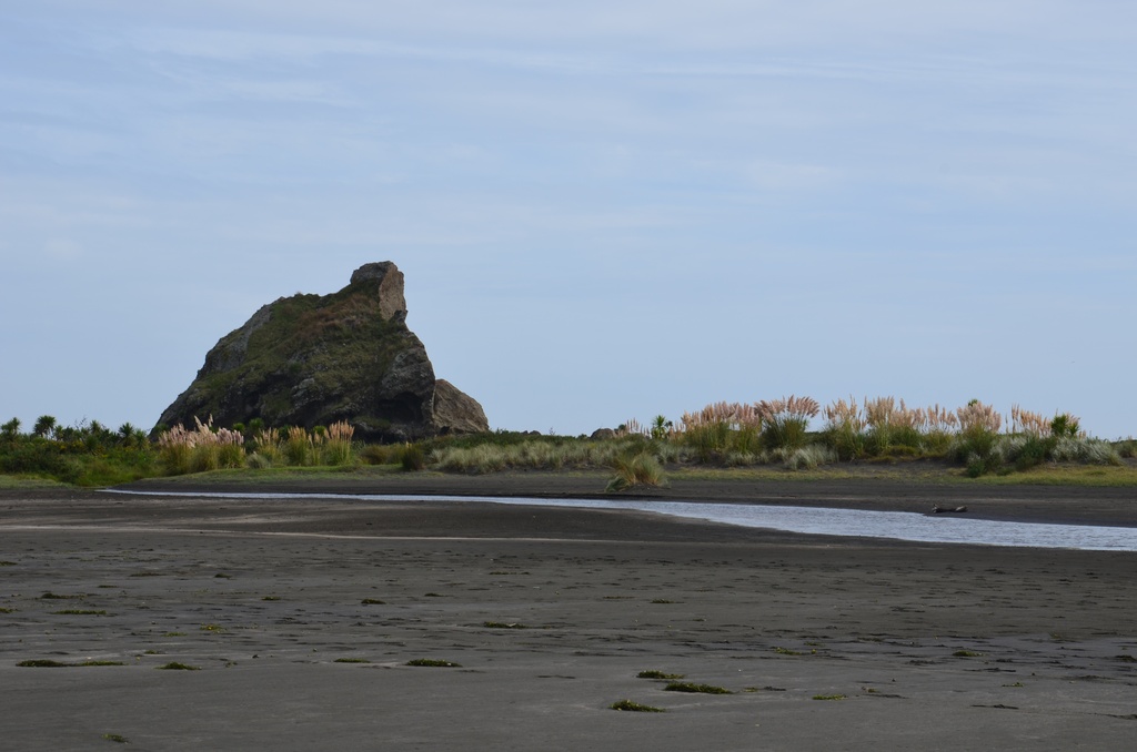 2017-03 New Zealand/Auckland Centenial Park/DSC_0092.JPG